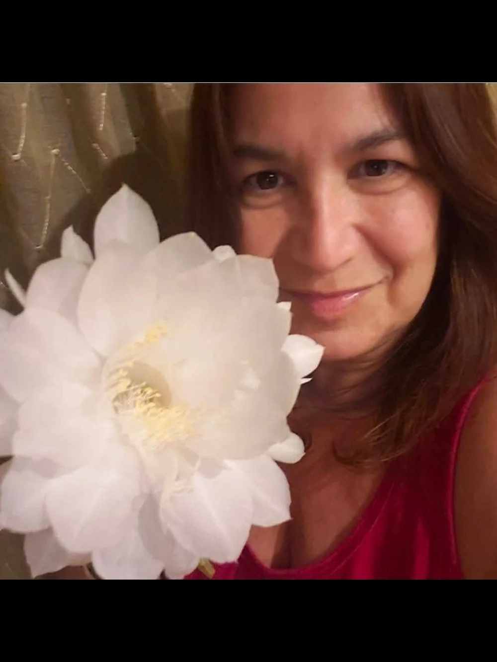 EPIPHYLLUM Or Queen Of The Night All White Variety
